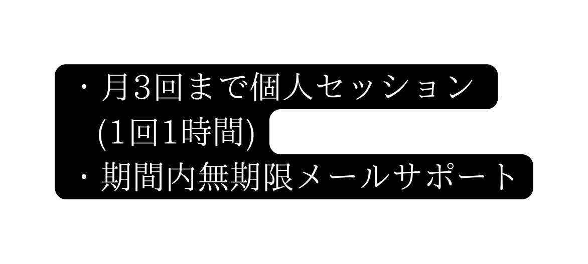 月3回まで個人セッション 1回1時間 期間内無期限メールサポート